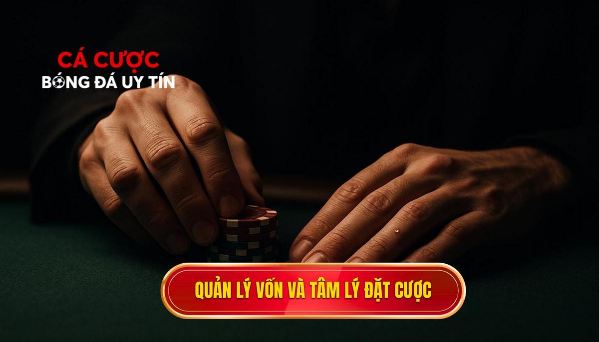 Chiến thuật quản lý vốn và kiểm soát tâm lý đặt cược